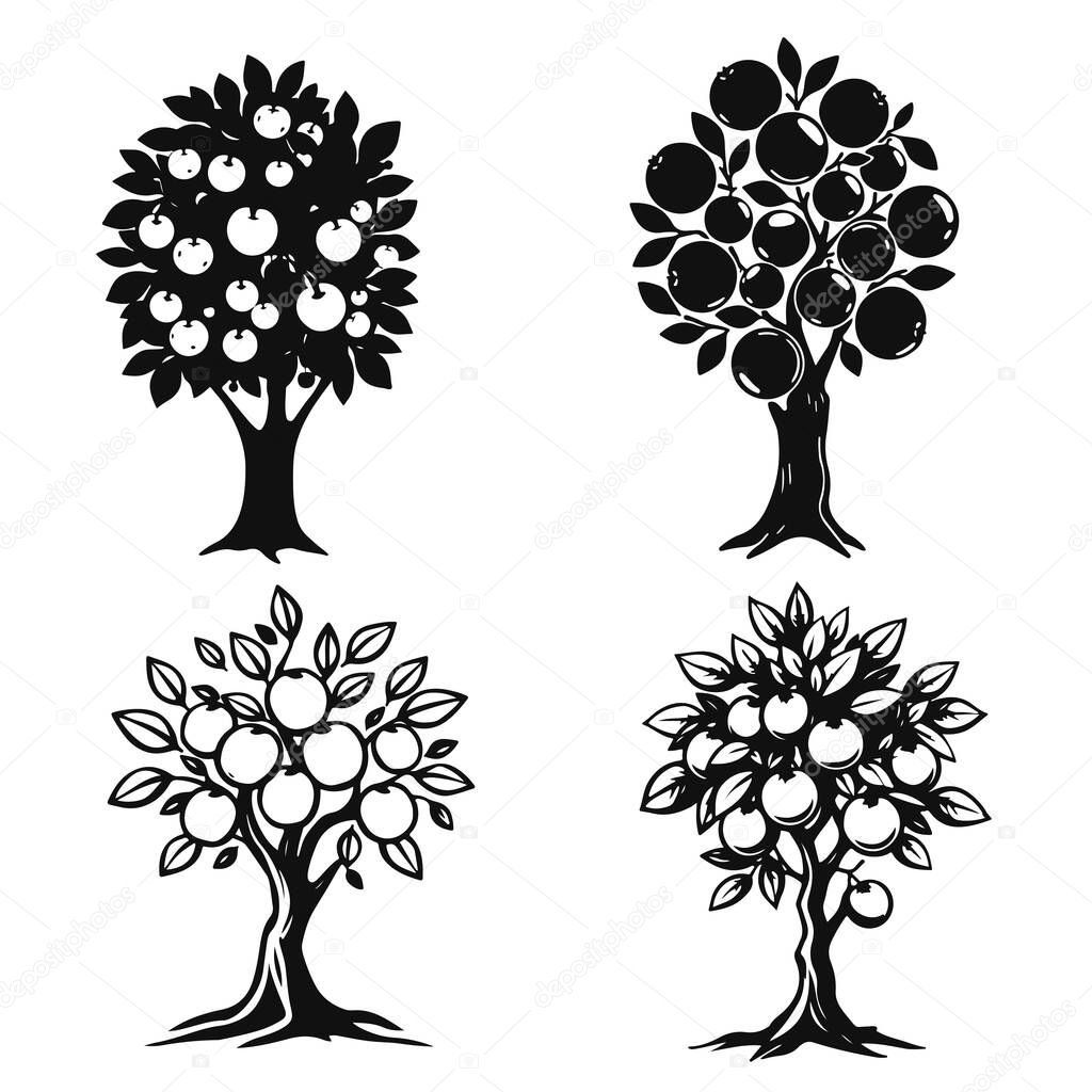 Fruit tree vector illustration, apple orchard logo design, garden plant graphic art, nature farming symbol, organic harvest drawing