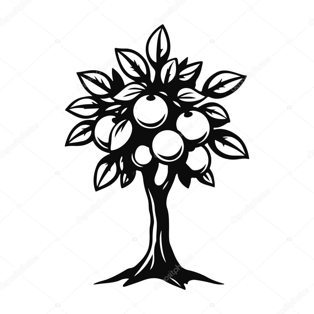 Fruit tree vector illustration, apple orchard logo design, garden plant graphic art, nature farming symbol, organic harvest drawing