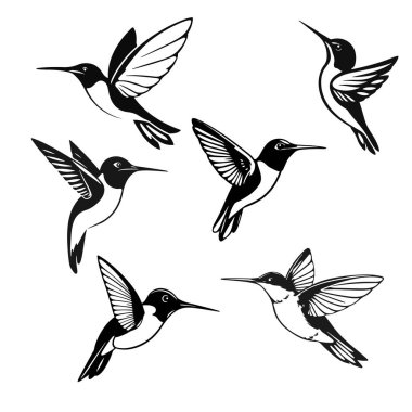 Sinekkuşu silueti, uçan kuş çizimi, egzotik tropikal kuş tasarımı, vahşi yaşam vektör sanatı, zarif hayvan çizimi