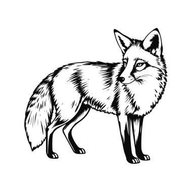 Tilki silueti tetikte, vahşi hayvan tasarımı, doğadan esinlenilmiş sanat eseri, zarif orman yaratığı, görkemli hayvan profili çizimi