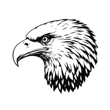 Kartal kafası yakın plan portresi, görkemli kuş avcısı, vahşi doğada özgürlük sembolü, tüylü yırtıcı illüstrasyon