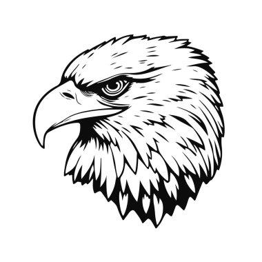 Kartal kafası yakın plan portresi, görkemli kuş avcısı, vahşi doğada özgürlük sembolü, tüylü yırtıcı illüstrasyon