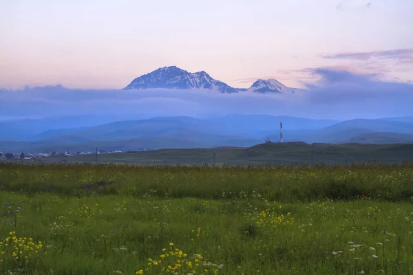 Colinas Cubiertas Hierba Verde Con Poderosas Montañas Cubiertas Nieve Detrás — Foto de Stock