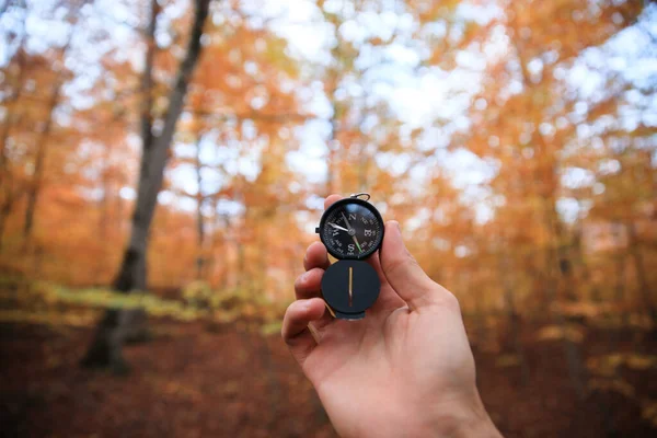 Piękna Męska Ręka Trzyma Magnetyczny Kompas Iglastym Jesiennym Lesie — Zdjęcie stockowe