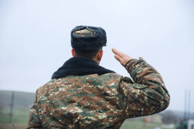 Natur 'daki ulusal askeri güçler