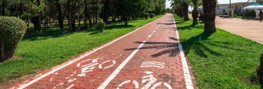 Bisiklet yolu ve palmiye ağaçları...