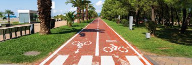 Bisiklet yolu ve palmiye ağaçları...