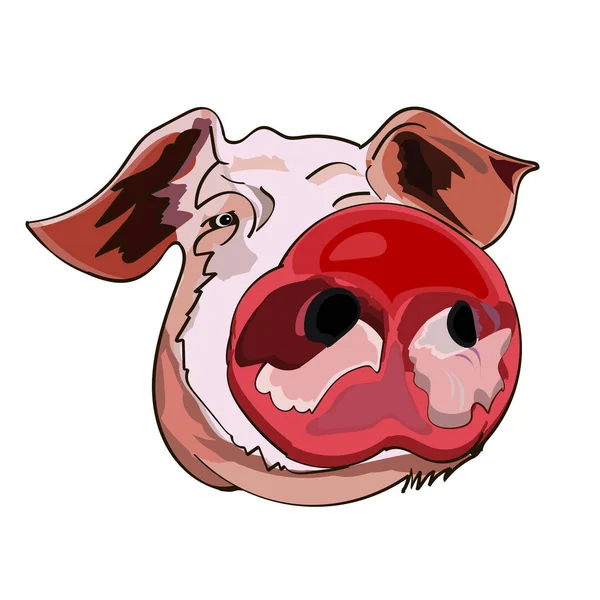 L'immagine della testa di un maiale, simbolo del capodanno cinese, su uno sfondo isolato — Vettoriale Stock