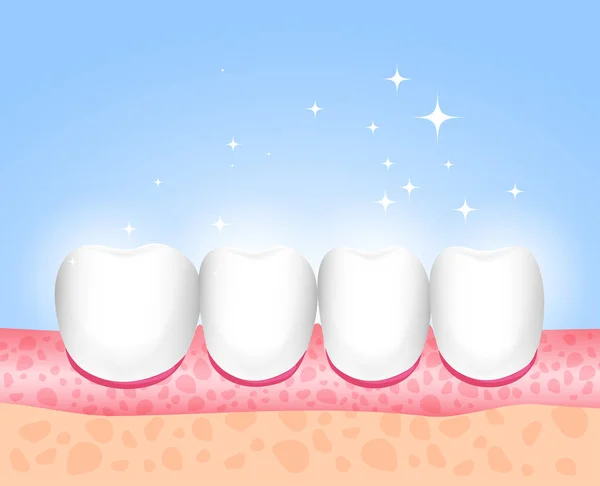 Gesunde Zähne Nach Der Behandlung Und Zahnpflege Medizinische Richtung Zahnmedizin — Stockvektor