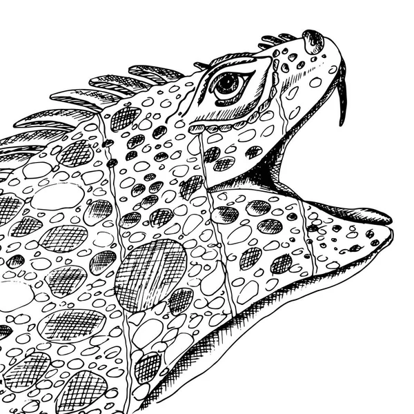 イグアナの頭 爬虫類 ベクトル図を分離しました シャツや シャツのデザイン ブランドのロゴ タトゥー 装飾に最適 — ストックベクタ
