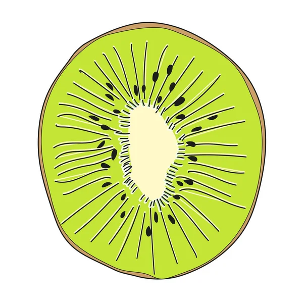 Kiwi Summer Fruit Lumineux Graphiques Modernes Concept Aliments Sains Sains — Image vectorielle