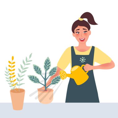 Çiçekçide çiçekçi.