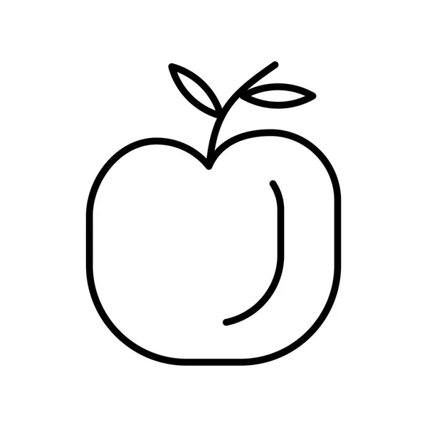 Apple Ikonen Vektor Isolerad Vit Bakgrund Apple Transparent Tecken Tunn — Stock vektor