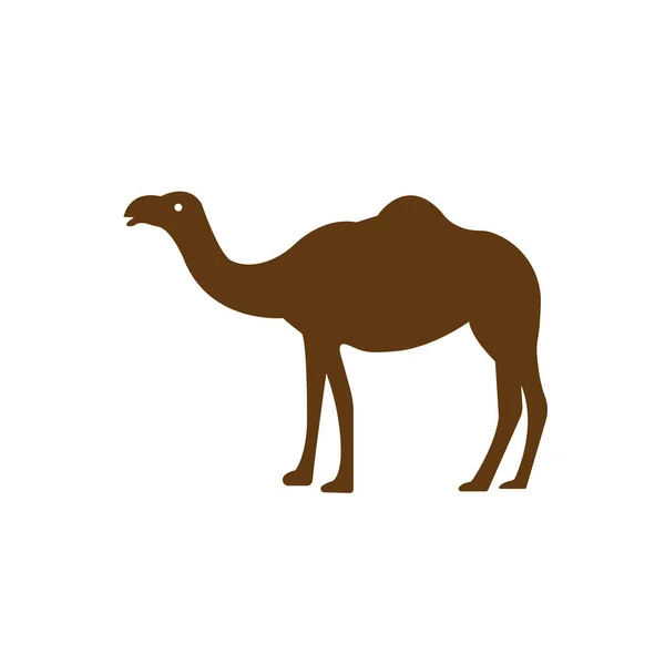 Camel icon vector sign and symbol isolated on white background — Stock Vector