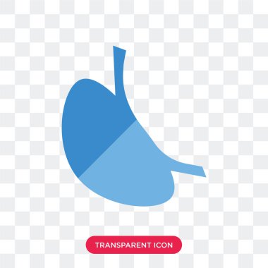 Mide üzerinde şeffaf backgro izole sıvılar vektör simgesi olan