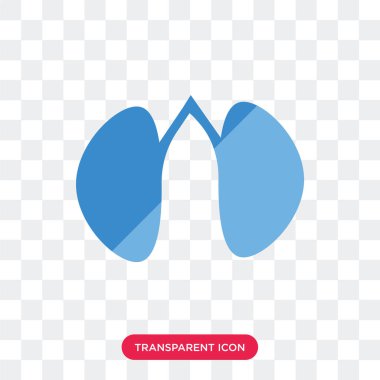 İki böbrek vektör şeffaf arka plan üzerinde izole simgesi iki 