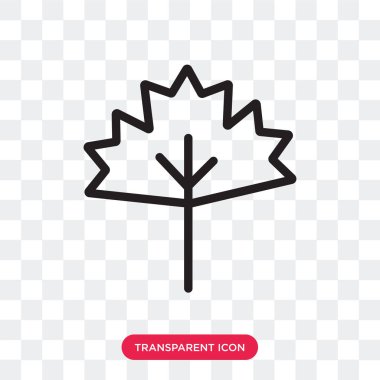 Saydam arka plan üzerinde akçaağaç izole akçaağaç yaprağı vektör simgesi