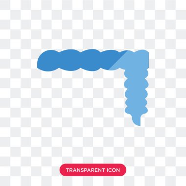 Kalın bağırsak vektör simgesi üzerinde şeffaf arka plan izole, 