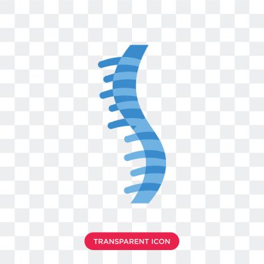 Saydam arka plan üzerinde Huma izole insan omurga vektör simgesi