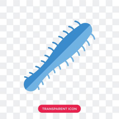 Üç bakteri şeffaf arka plan üzerinde T izole simge vektör