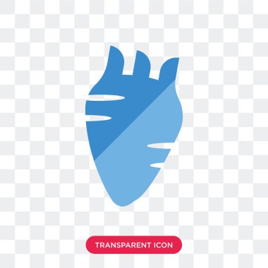 Saydam arka plan üzerinde Huma izole insan kalp vektör simgesi