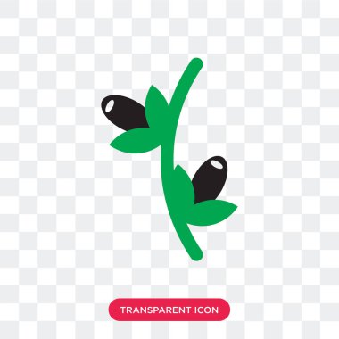 Saydam arka plan üzerinde zeytin lo izole zeytin vektör simgesi