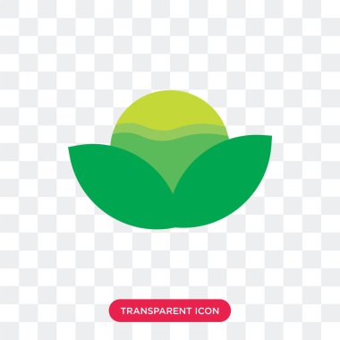 Saydam arka plan üzerinde marul izole marul vektör simgesi 