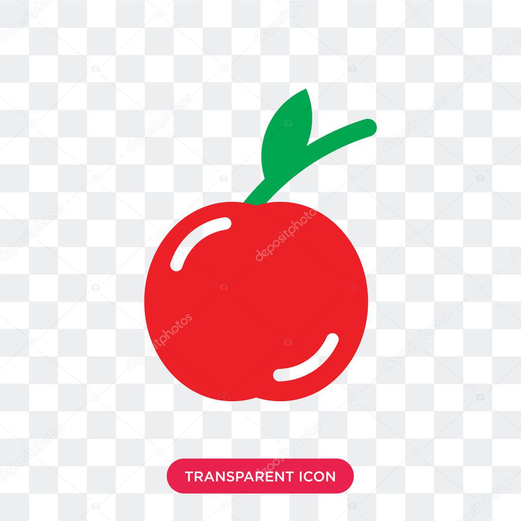 Apple vector icon isolated on transparent background, Apple logo concept