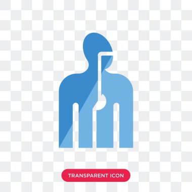 Sindirim sistemi vektör simgesi üzerinde şeffaf arka plan izole,