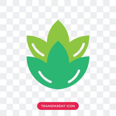 Saydam arka plan üzerinde Artich izole enginar vektör simgesi