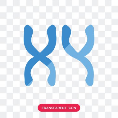 Şeffaf backgr izole erkeksi kromozomlar vektör simgesi