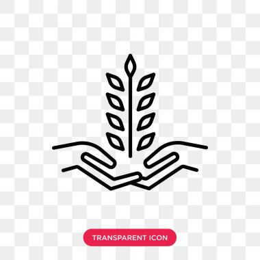 Saydam arka plan üzerinde buğday logo tasarımı izole buğday vektör simgesi