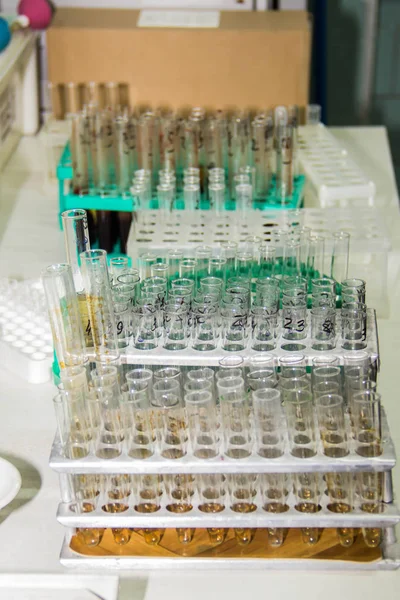 A set of glass vials for analysis in the laboratory