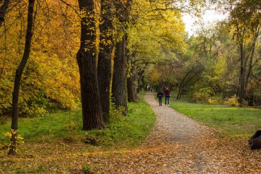 Sarı ve kırmızı ağaçlar, bir yol ve bir çift yürüyüş ile sonbahar park