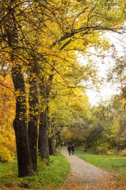 Sarı ve kırmızı ağaçlar, bir yol ve bir çift yürüyüş ile sonbahar park
