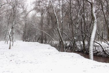 Ağaçları ve bir yol ile güzel karla kaplı Şehir Parkı