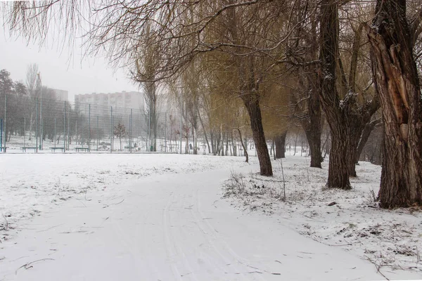 Schöner Schneebedeckter Stadtpark Mit Bäumen Und Einem Pfad — Stockfoto