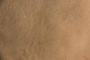 sıcak yumuşacık yumuşak doğal koyun derisi dokusal arka plan