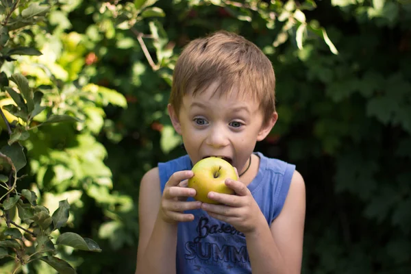 Çocuk Bahçesinde Bir Sulu Elma Elinde Tutar Onu Zevkle Isırıkları — Stok fotoğraf