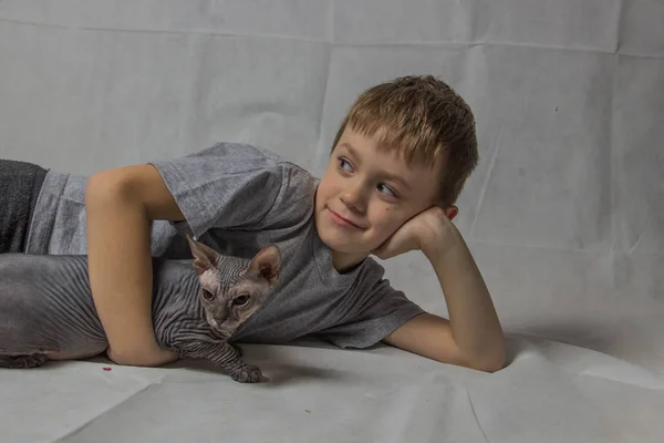 Boy Gray Shirt Sits Plays Bald Gray Sphynx Cat — Stock Photo, Image
