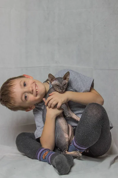 A boy in a gray T-shirt sits and plays with a bald gray Sphynx cat