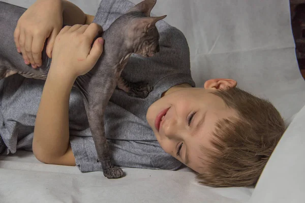 A boy in a gray T-shirt sits and plays with a bald gray Sphynx cat