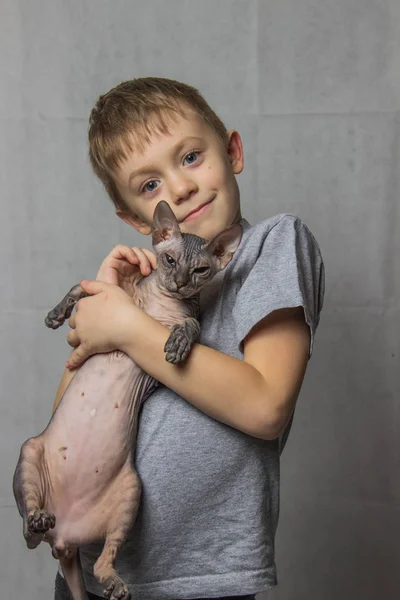 Menino Uma Camiseta Cinza Está Segurando Suas Mãos Gato Esfinge — Fotografia de Stock
