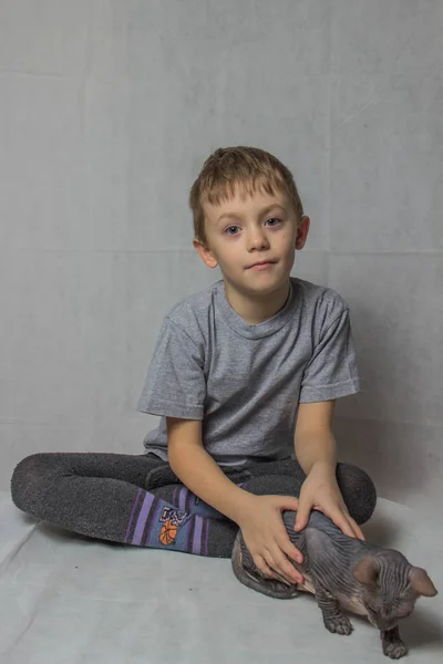 Niño Con Una Camiseta Gris Sienta Juega Con Gato Calvo — Foto de Stock