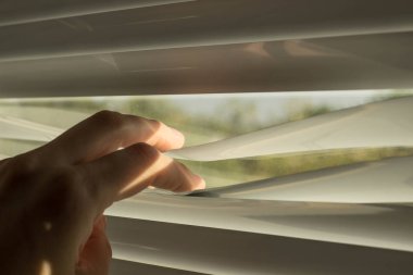 Bir el pencere panjur güneşli bir hoş günde açılır..