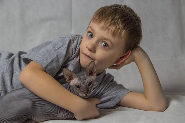 Ragazzo Con Una Maglietta Grigia Siede Gioca Con Gatto Pelato — Foto Stock