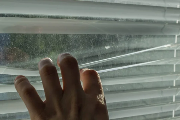 A hand opens the window blinds on a sunny pleasant day.