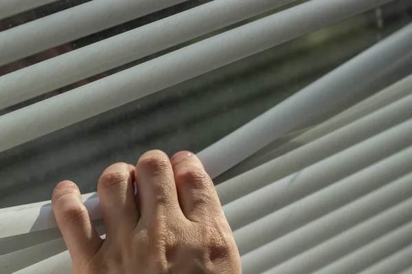 A hand opens the window blinds on a sunny pleasant day.