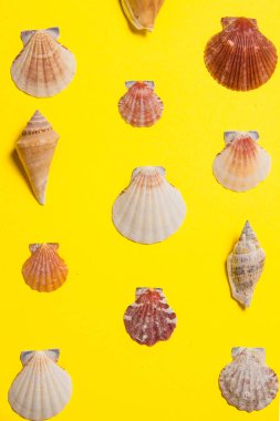 Deniz dekoru ile sarı parlak arka plan