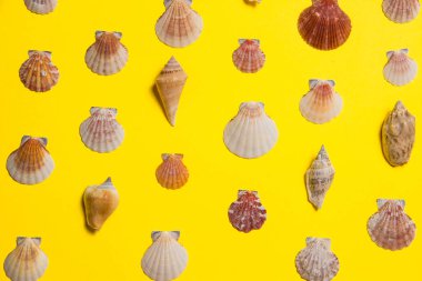 Deniz dekoru ile sarı parlak arka plan